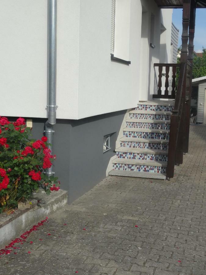 Gîte du héron La Wantzenau Esterno foto