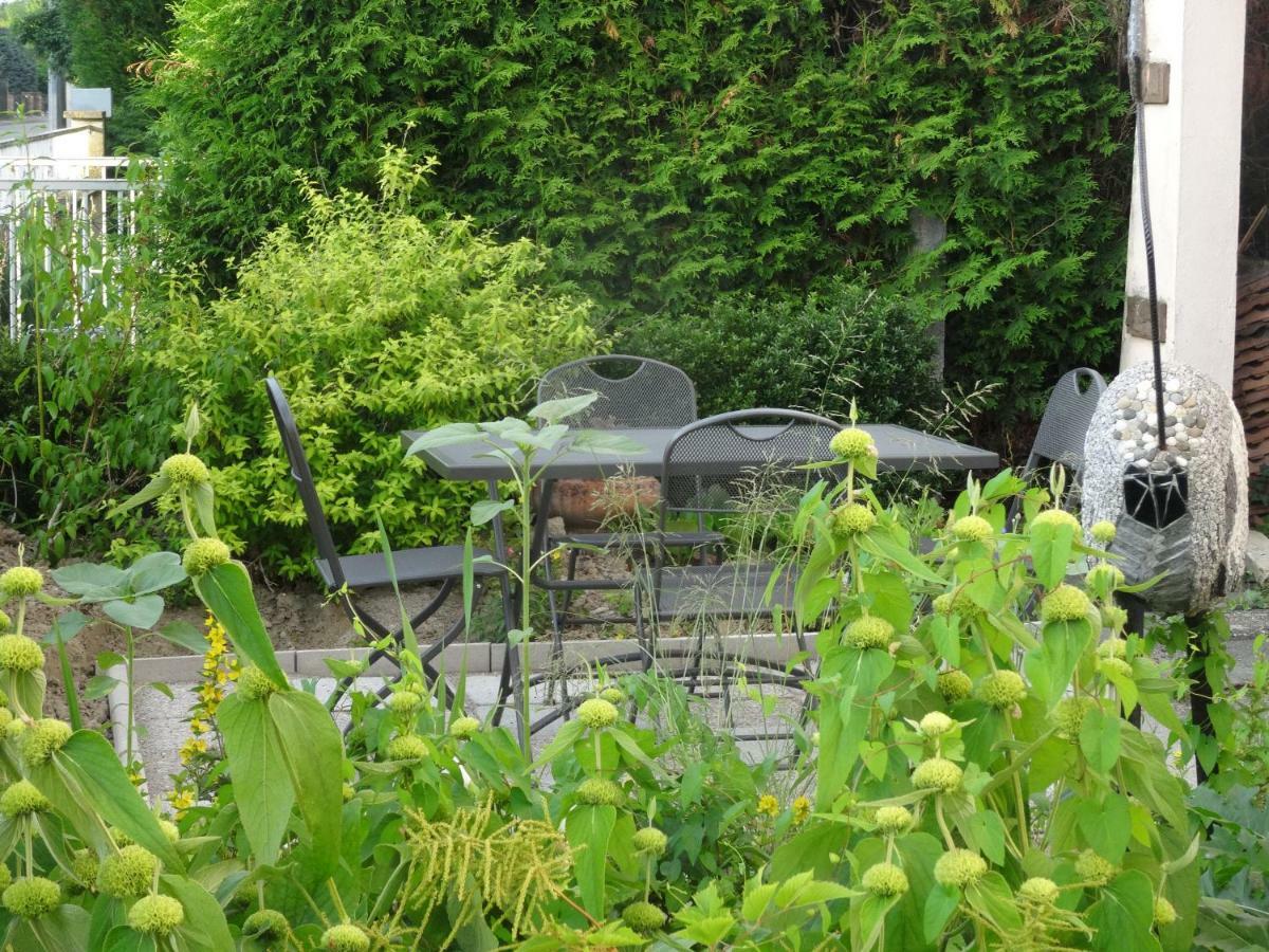 Gîte du héron La Wantzenau Esterno foto